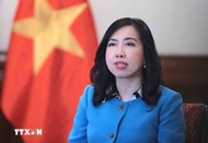 Vietnam - Europe ties reach new height in 2025: Deputy Foreign Minister